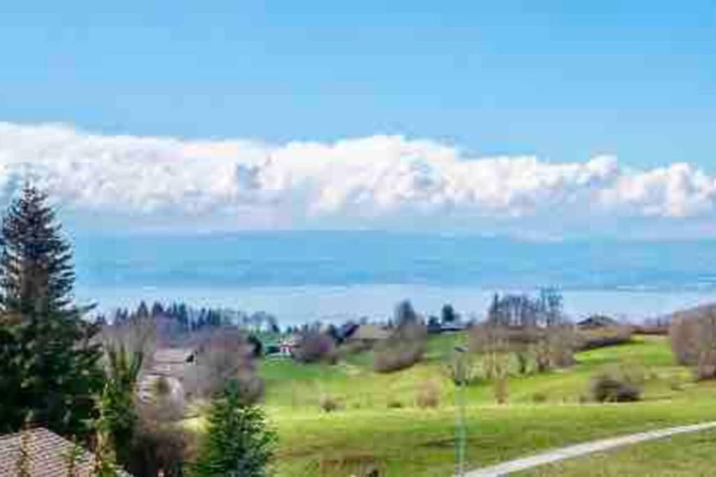 Duplex en station vue sur lac Leman Thollon-les-Mémises Extérieur photo