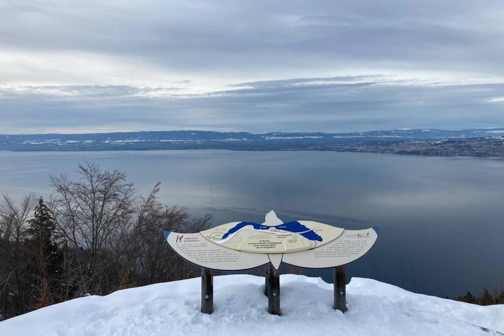 Duplex en station vue sur lac Leman Thollon-les-Mémises Extérieur photo