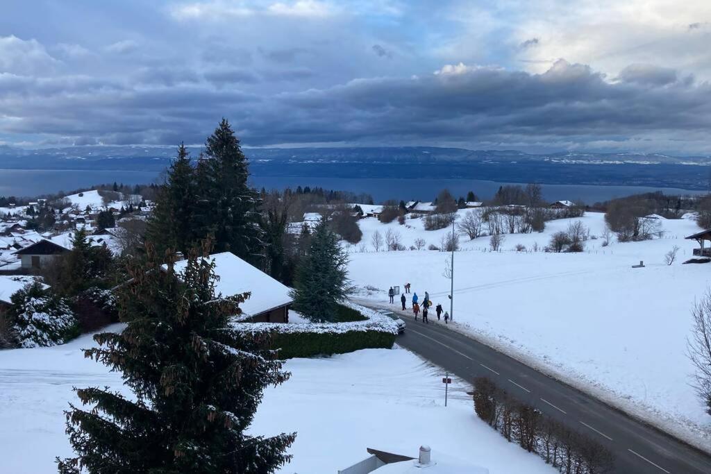 Duplex en station vue sur lac Leman Thollon-les-Mémises Extérieur photo
