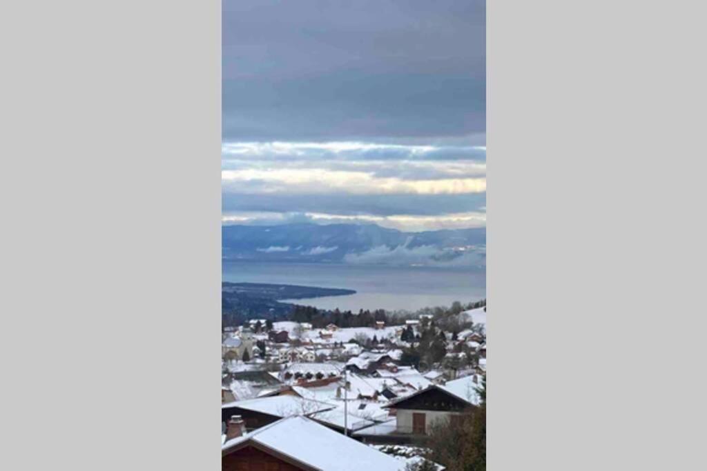 Duplex en station vue sur lac Leman Thollon-les-Mémises Extérieur photo