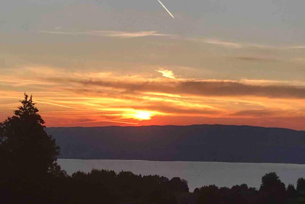 Duplex en station vue sur lac Leman Thollon-les-Mémises Extérieur photo