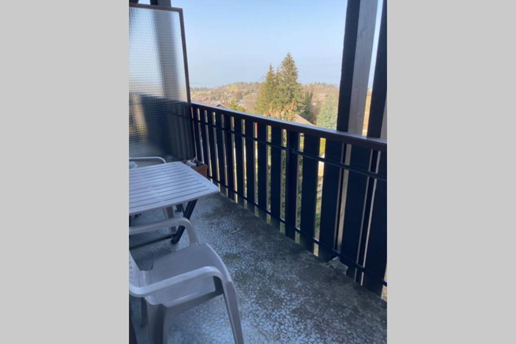 Duplex en station vue sur lac Leman Thollon-les-Mémises Extérieur photo